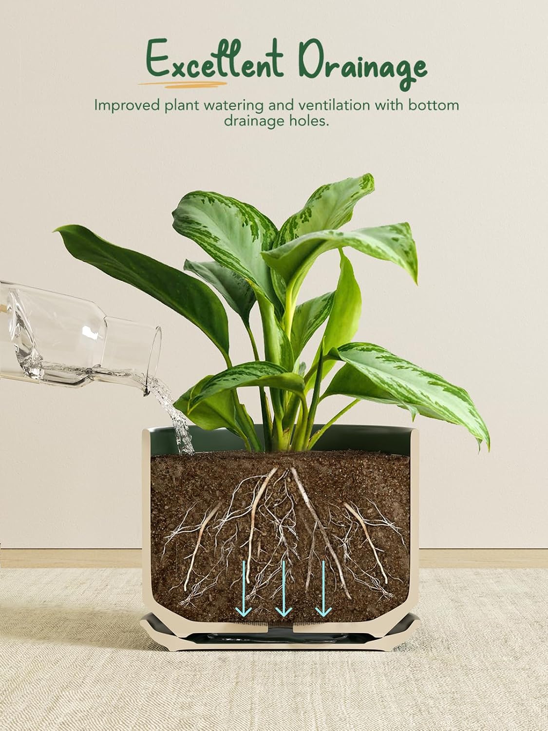 LE TAUCI Ceramic Plant Pots, 4.3+5.3+6.8 inch, Set of 3, Planters with Drainage Hole and Saucer, Indoor Flower Pot with Hole Mesh Pad, Gifts for Mom