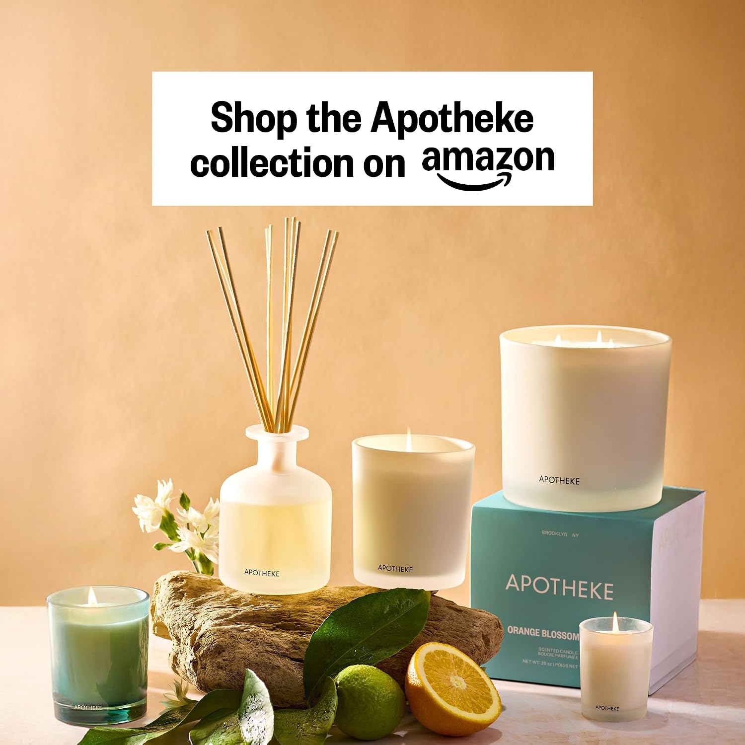 Apotheke Signature Scented Candles for Home, Canvas - 10.5 Oz | Long-Lasting Non-Toxic Soy Wax Jar Candle with Essential Oils, Large - Luxury Gift for Women & Men