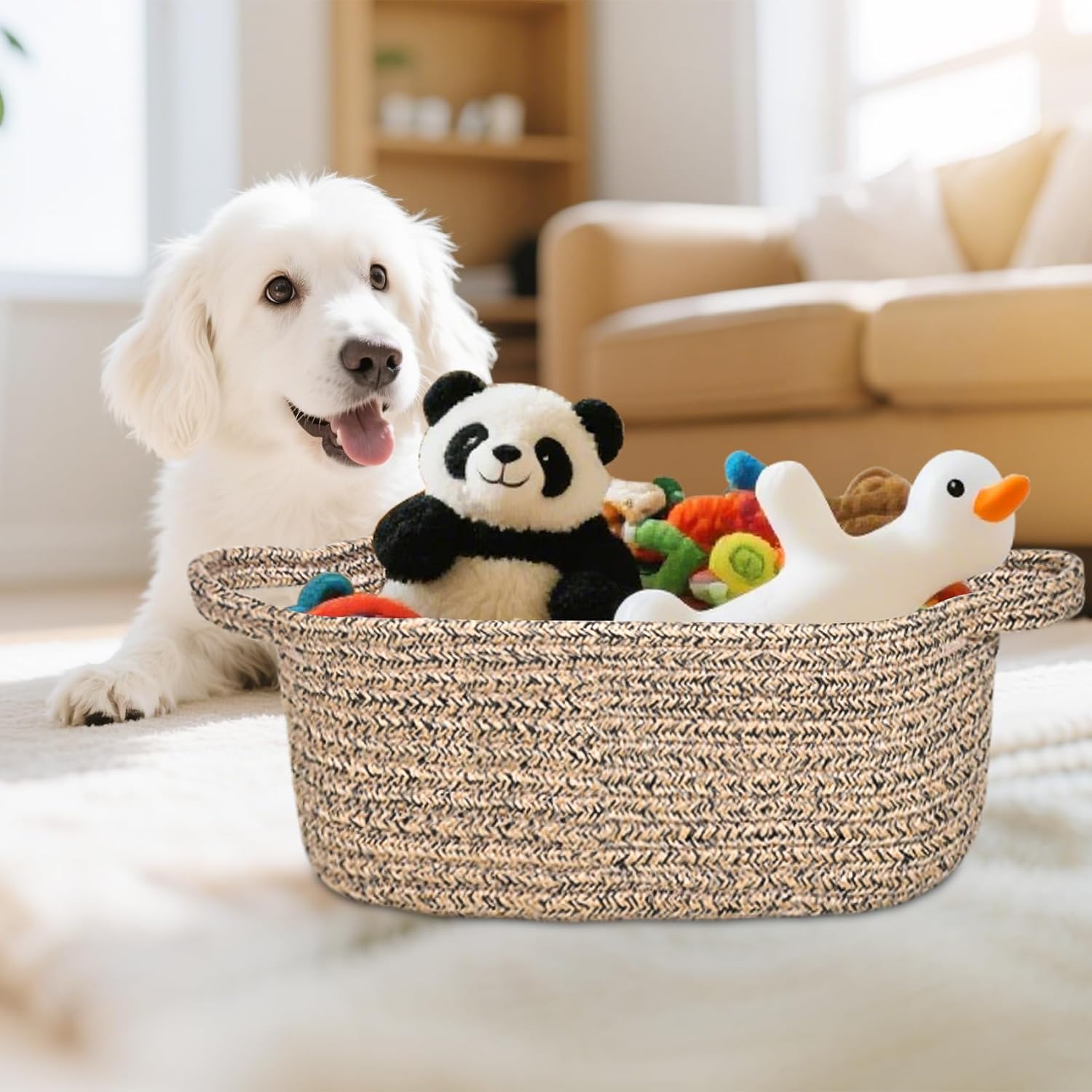 ABenkle Small Basket with Handles, Boho Decorative Rope Woven Dog Cat Toy Storage Bin Shelf Storage Organizer, Easter Christmas Gift Basket, 12"x8"x5"