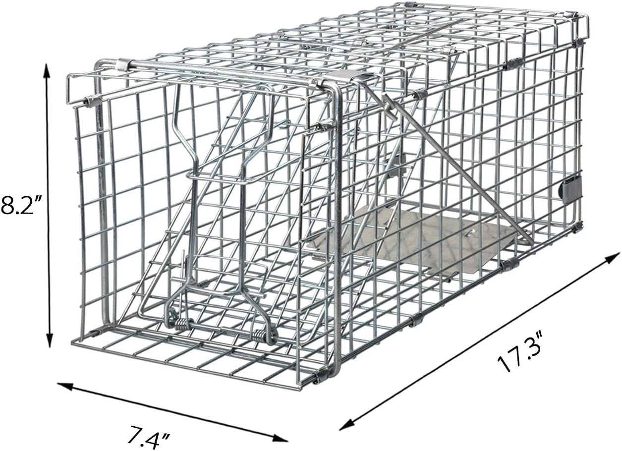Gingbau Squirrel Trap Foldable Heavy Duty Humane Live Animal Cage Trap (Not for Mouse)