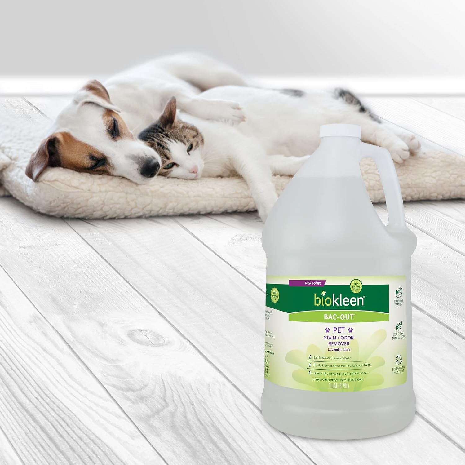 Biokleen Bac-Out Pet Stain Remover - Enzymatic, Natural, Plant-Based Destroys Stains & Odors, Safe for Surfaces & Fabrics