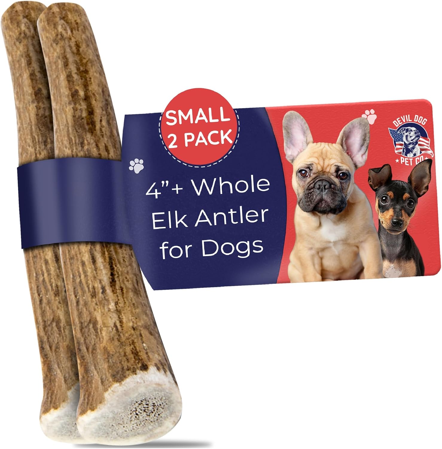 Devil Dog Pet Co Whole Elk Antlers for Dogs, Medium, Aggressive Chewers | Naturally shed Grade A Rocky Mountain elk antler, single ingredient, long lasting, 5 in+, fits breeds up to 50 lb