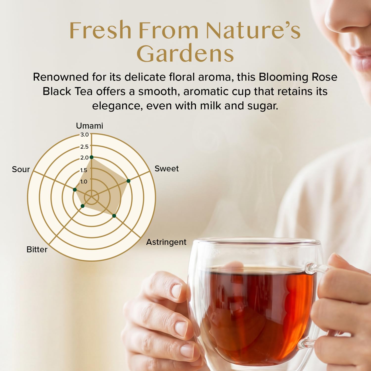 VAHDAM, Green Tea Leaves From Himalayas 170+ Cups (12oz) High Elevation Grown Green Tea Leaves From Himalayas | Pure Unblended Single Origin Green Loose Leaf Tea | Vacuum Sealed