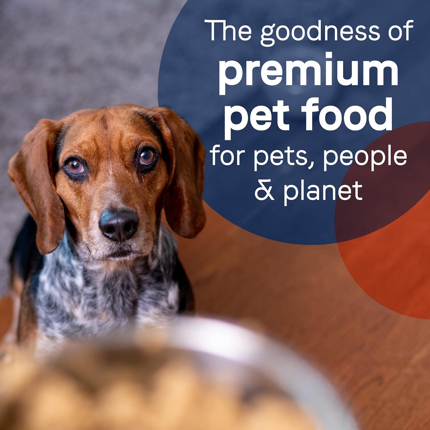 CANIDAE Pure Goodness Wet Dog Food, Salmon & Sweet Potato, 13 oz, 12 Pack
