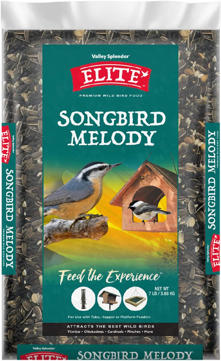Songbird Melody