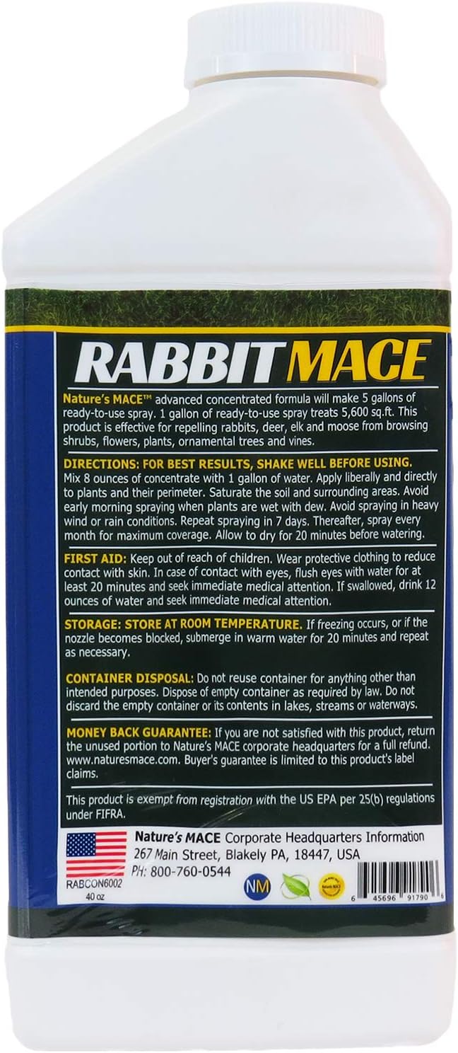 Nature's MACE Rabbit Mace Rabbit Repellent Spray & Concentrate Kit | Outdoor Rabbit Repellent, Covers 29,400 Sq Ft, Mint Scent, Safe Around Pets, People & Plants.