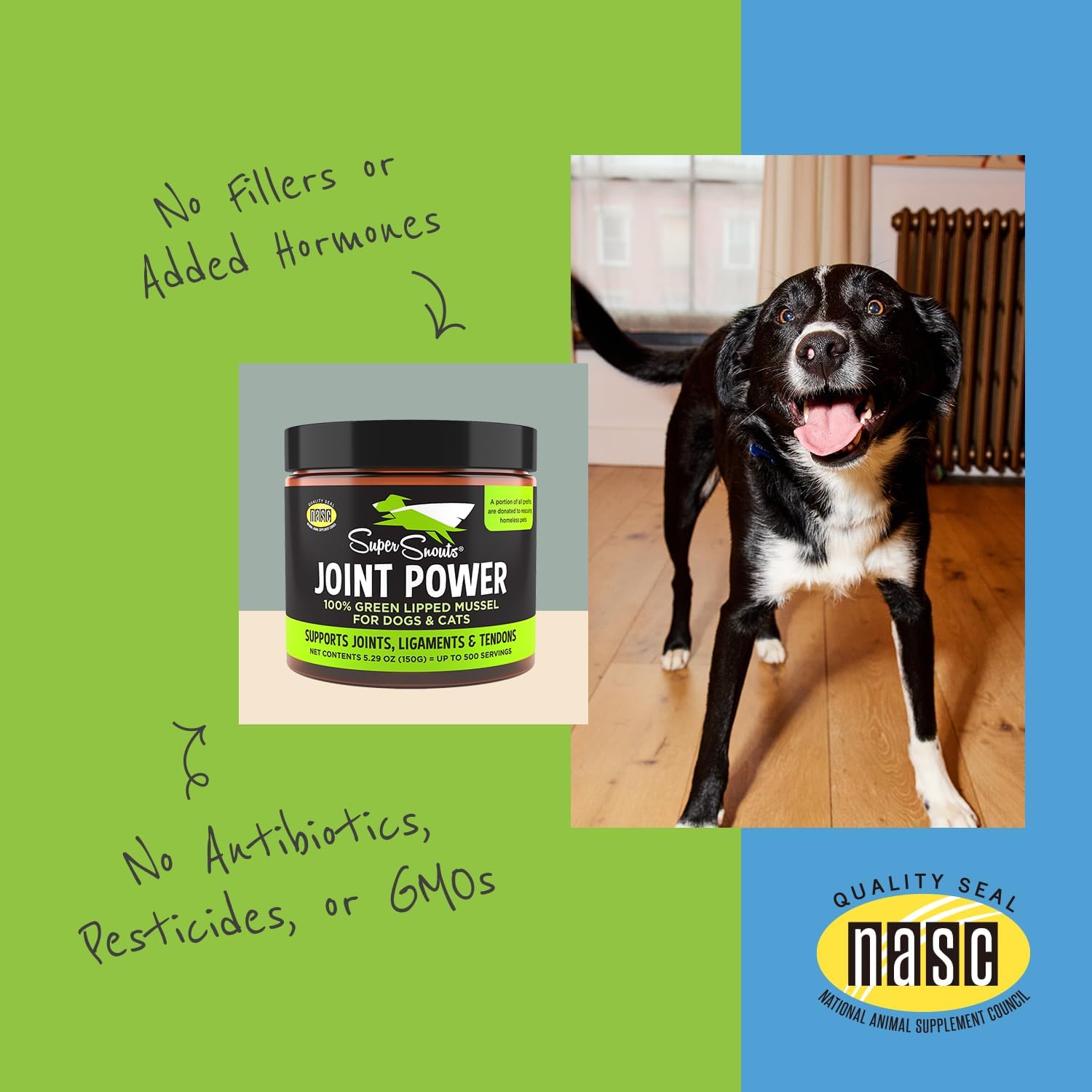 Joint Power Supplement Powder for Dogs & Cats, 2.64 oz Jar | Joint Supplement Powder made with 100% Green Lipped Mussels to Support Joints, Tendons, and Ligaments