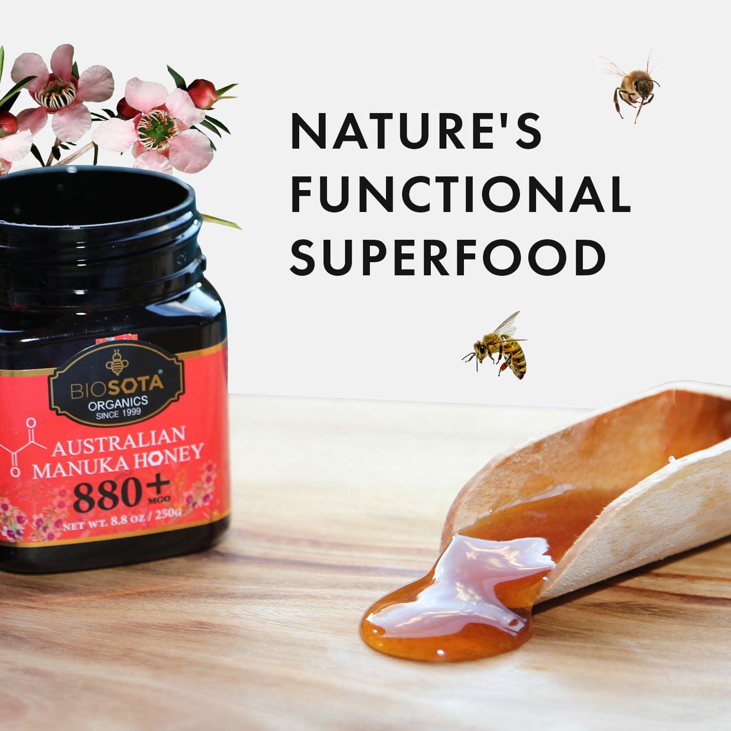 BIOSOTA Organic Manuka Honey MGO 800+ - Medical Grade Manuka Honey from Australia, 100% Raw Unheated Pure Honey, 8.8oz (800+) (MGO 800+)