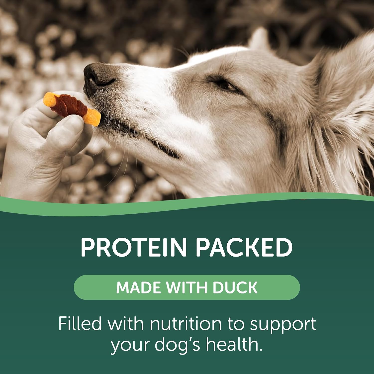 Healthfuls Chicken Wrapped Sweet Potato Dog Treats, 16oz