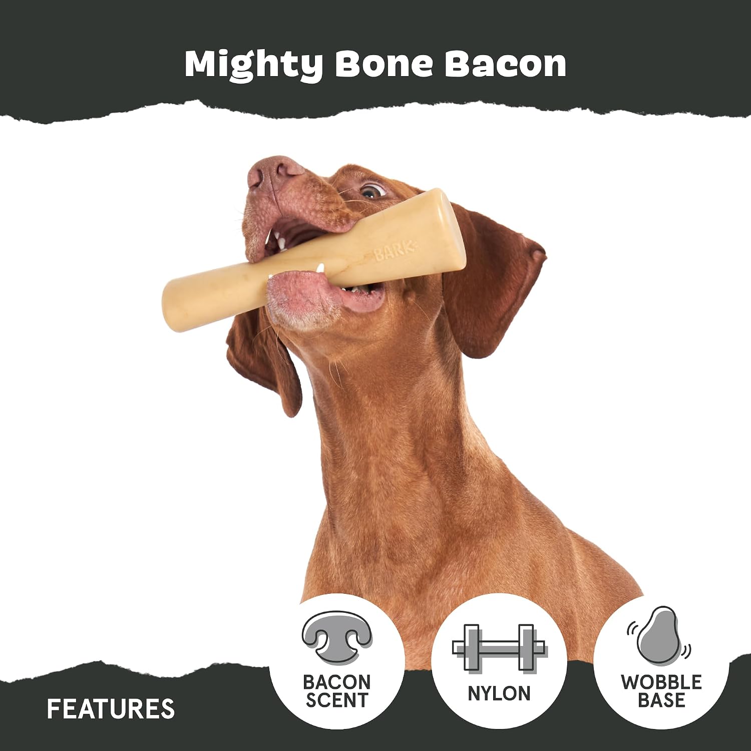 BarkBox Turkey Super Chewer - Toy for Large Dogs