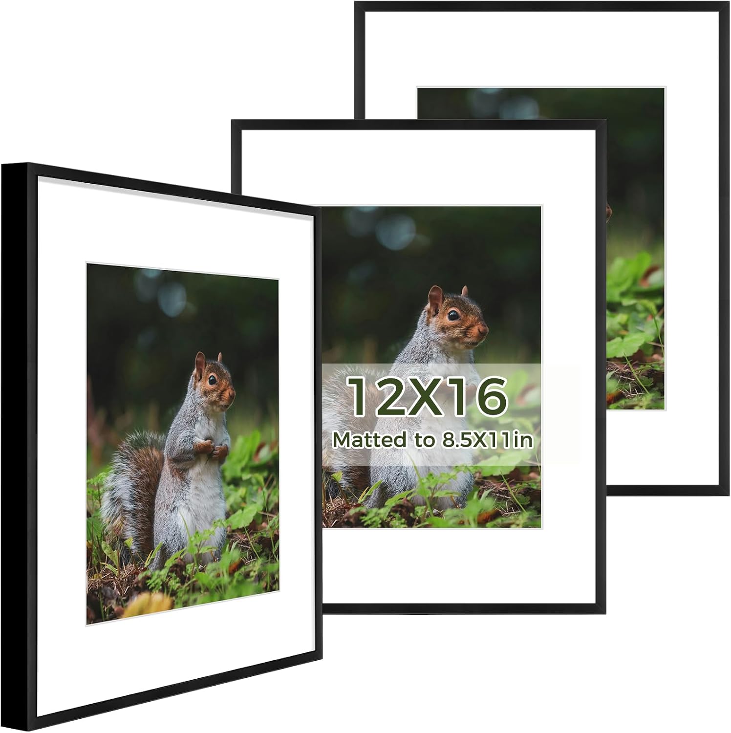 Golden State Art 3 Pack 12x12 Black Aluminum Frames, Real Glass Fronts
