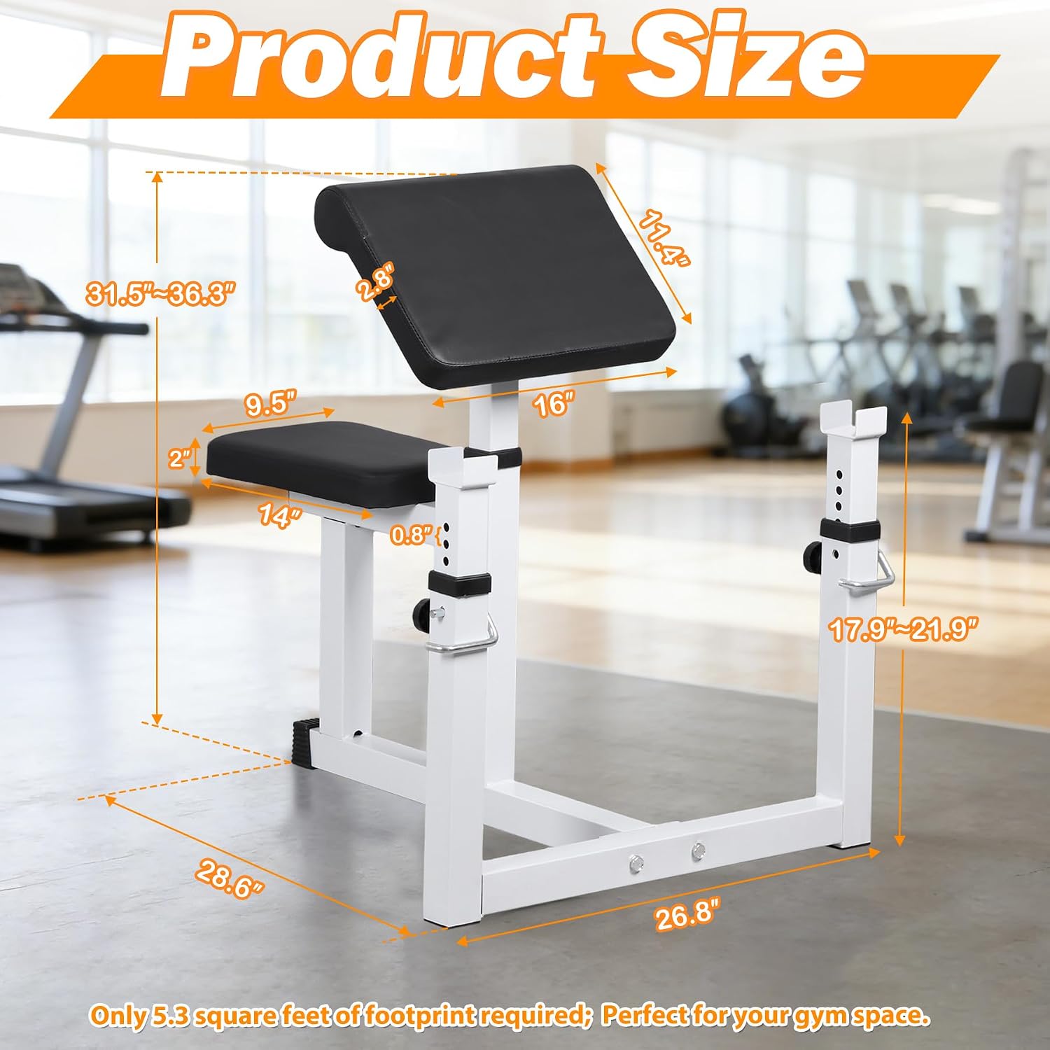 F2C Preacher Curl Bench, Adjustable Arm Curl Weight Bench for Isolated Bicep and Tricep Strength Training