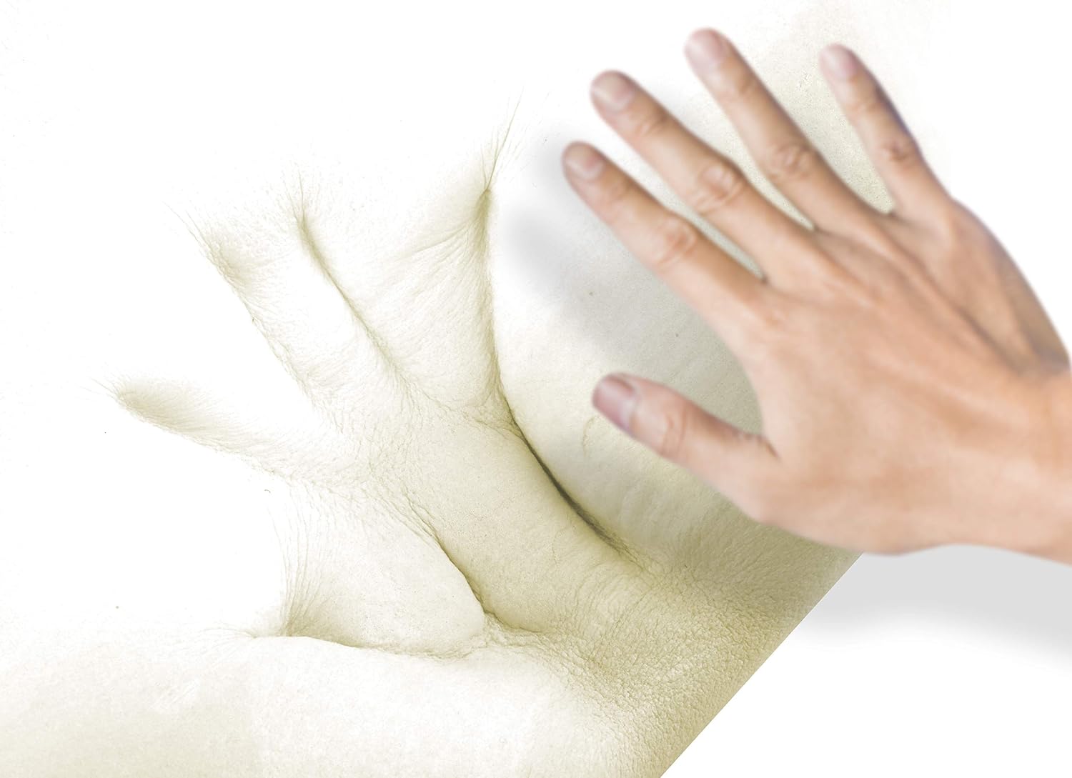 ZG-Home Memory Foam Pillow, Neck Pillow, Cervical Pillow for Neck Pain, Orthopedic Contour Pillow for Back, Side