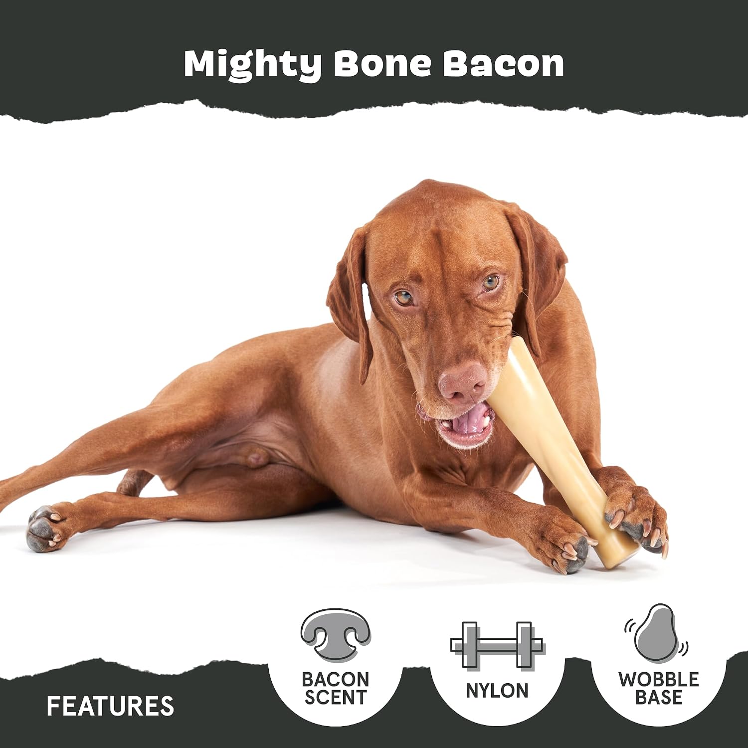 BarkBox Turkey Super Chewer - Toy for Large Dogs