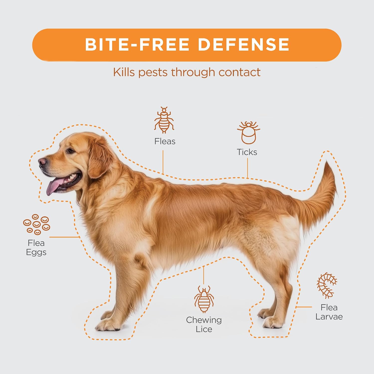 FirstAct Plus Flea Treatment for Dogs, Small Dogs 6-22 lbs, 3 Doses, Same Active Ingredients as Frontline Plus Flea and Tick Prevention for Dogs