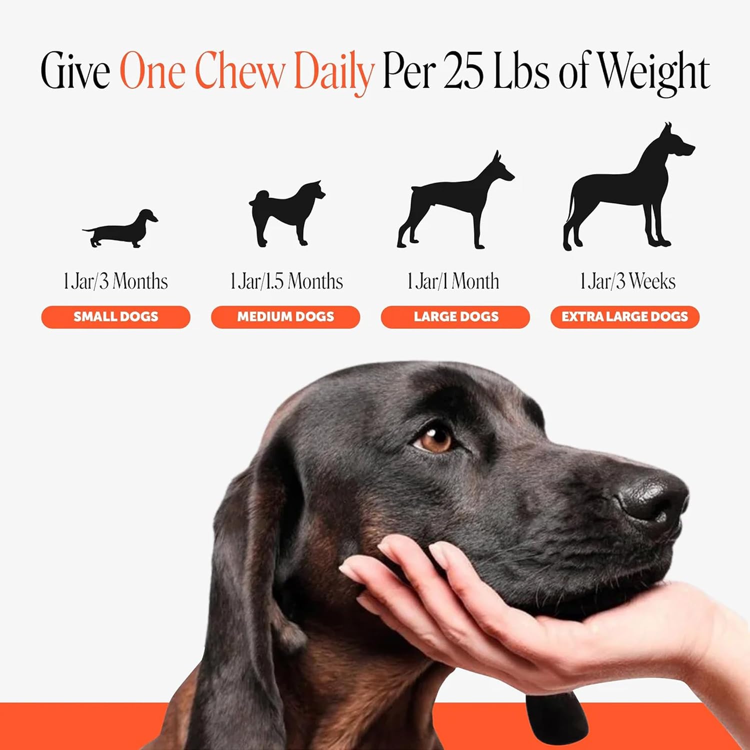 Hip + Joint Supplement for Dogs with Glucosamine Chondroitin - MSM, Turmeric & Collagen Soft Chews - Joint Function, Stiffness, and Mobility Support, May Reduce Occasional Discomfort (Chicken, 90 Ct)