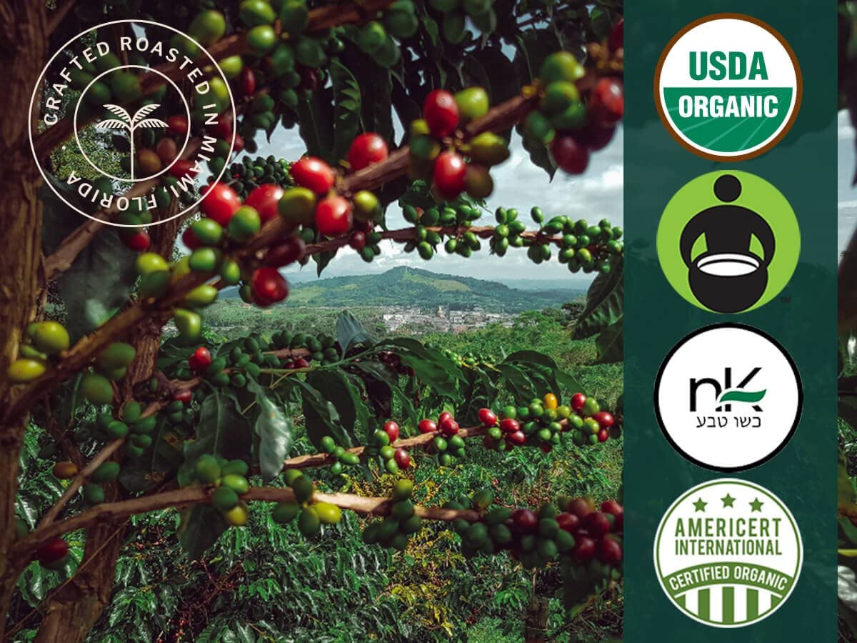 Artizan Coffee USDA Organic Espresso Coffee Capsules For Nespresso Original | Signature Blend Variety | 40 Compatible Compostable Pods