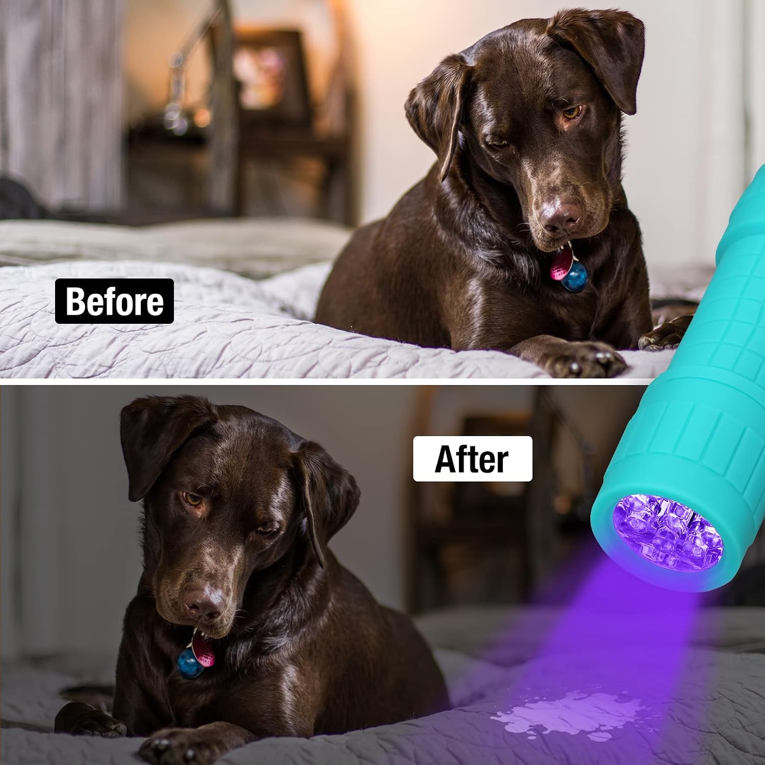 EverBrite Mini Flashlights 6-Pack Mix Colors, Batteries Included | Small, Lightweight, 18 AAA Batteries, 6-Color Set, 9-LED, Wrist Lanyards, for Home, Camping & Emergency use, Holiday Gifts