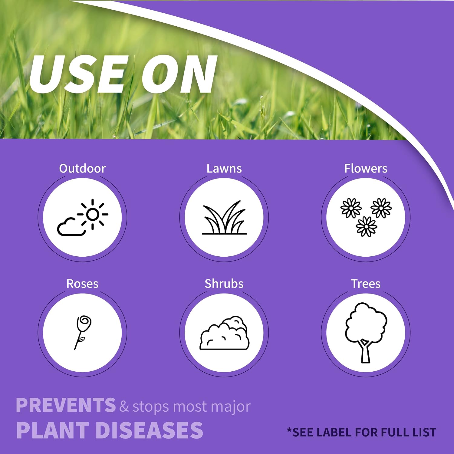 Bonide Infuse Systemic Disease Control Lawn & Landscape | 32 oz Ready-to-Spray Fungicide for Turf & Ornamentals
