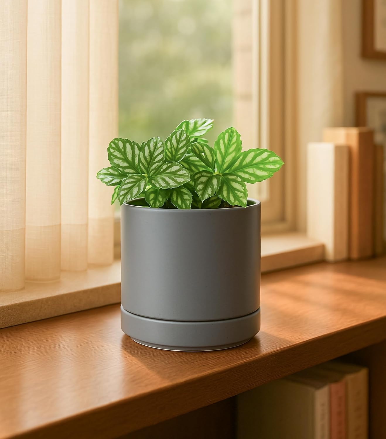 D'vine Dev 2-Pack Ceramic Pots with Saucers, White/Grey, 4.7 in, 94-V-B-6