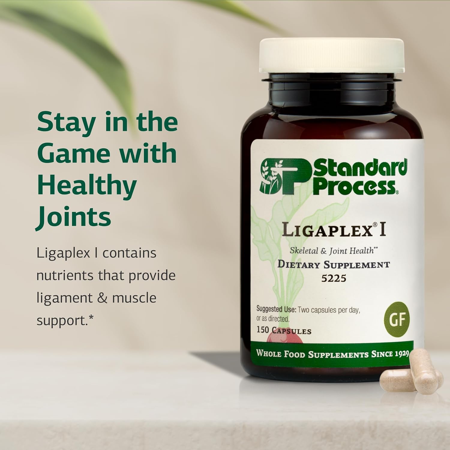 Standard Process Ligaplex I - Joint Support Supplement for Ligament & Cartilage Health - Bone Strength Support - Non-Soy