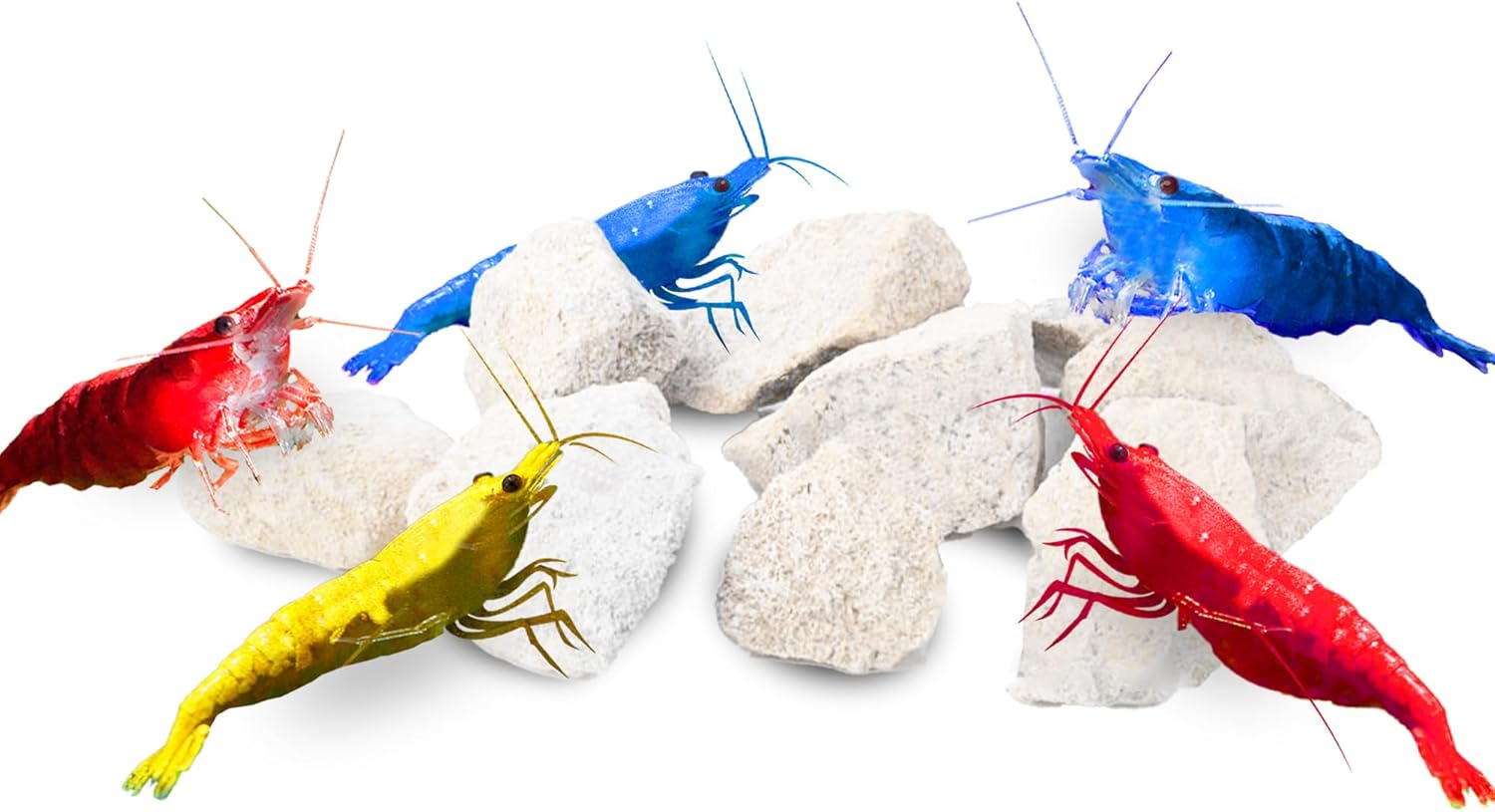 JOR Water Conditioner Calcium Rocks for Baby Shrimps, Isopods, and Crayfish, Enhances Pet Color, Provides Hideout, Breeding Spot