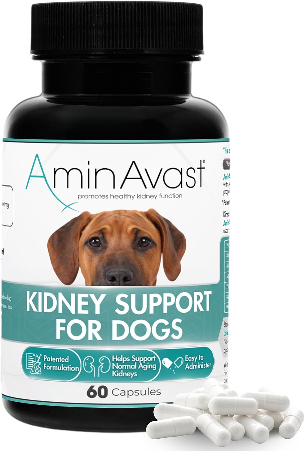 AminAvast Kidney Support for Dogs Over 20lb, 1000mg, 60 Sprinkle Capsules | Feed Directly or Open Capsules & Mix With Food, Flavorless, Easy Daily Use