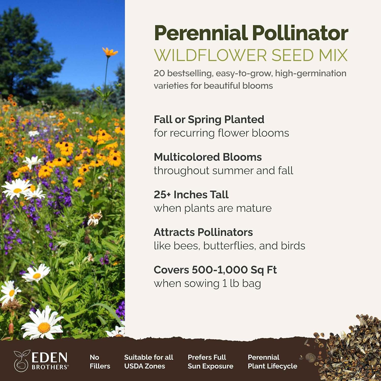 Eden Brothers The Bees Knees Pollinator Wildflower Seed Mix, 1/4 lb (135,000+ Seeds) Throw and Grow - 100% Pure, No Fillers - 18-Variety Non-GMO Annual + Perennial, Covers up to 1,100 SqFt, Zones 3-10