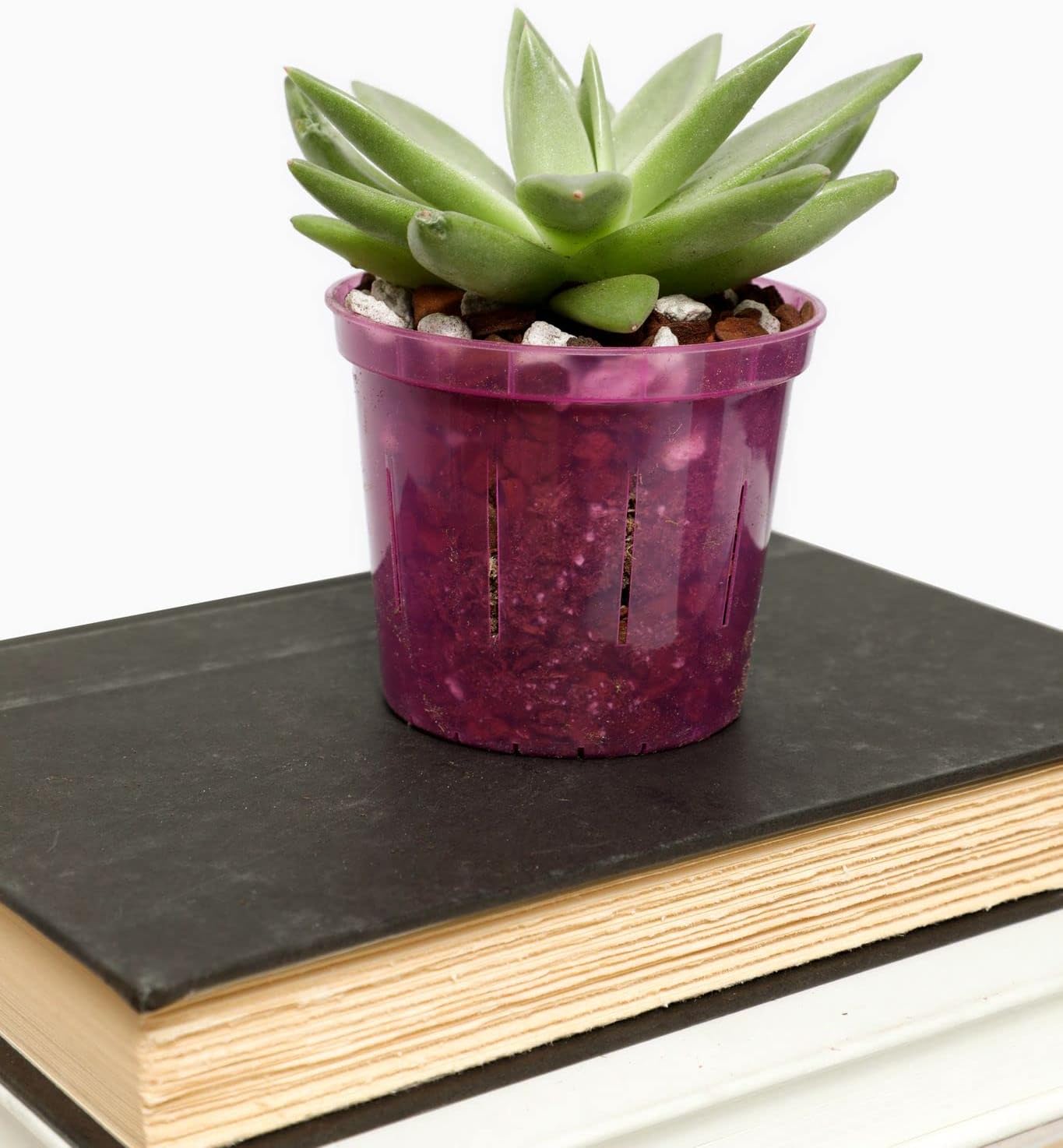 Orchid Pot - 6 inch Slotted Clear Orchid Pots - 3 Pack (Crystal Clear)