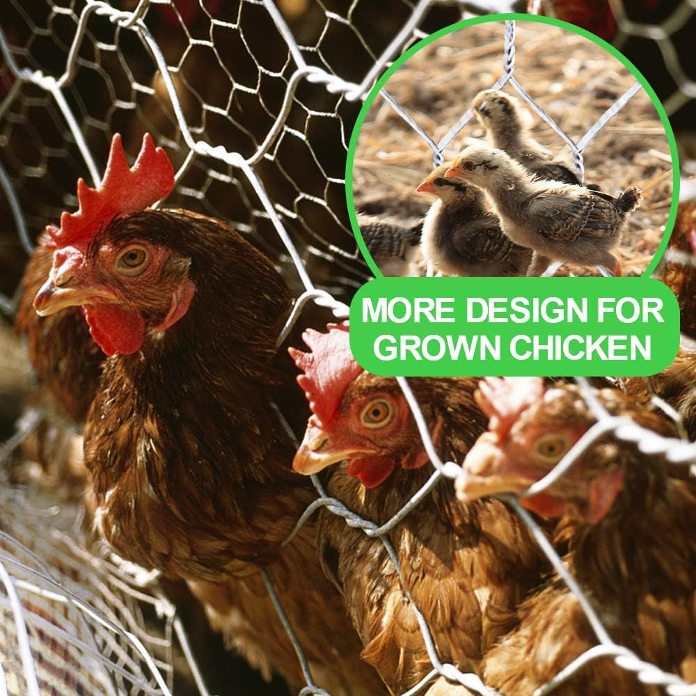 Amagabeli Chicken Wire Fencing Poultry Wire Netting 36inch x 50ft 2 Inch Hexagonal Galvanized Mesh Garden Fence Animal Barrier for Garden Protection Craft Rabbit Cage Dog Roll Chicken Coop Accessories