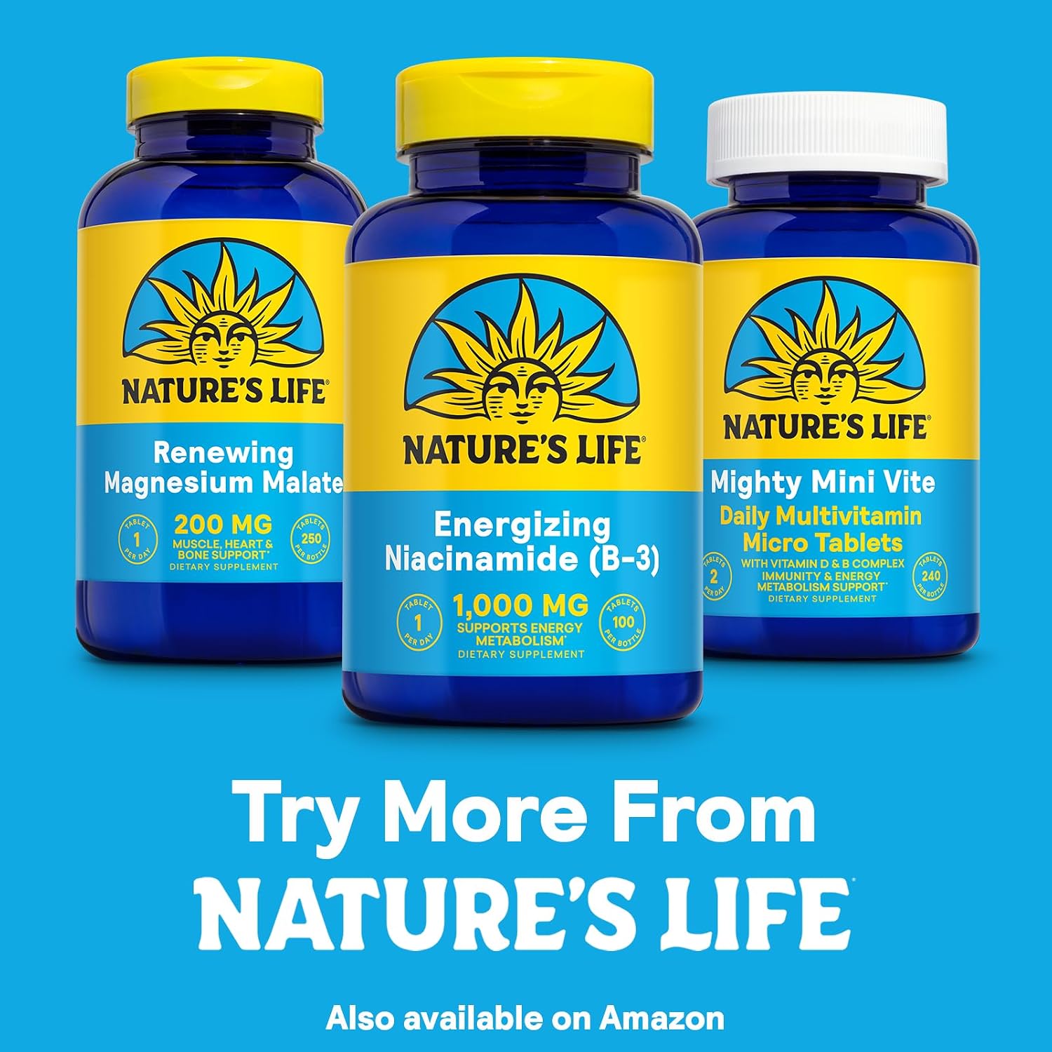 Nature's Life Energizing Niacinamide, Vitamin B3 1000mg - High Potency, No Flush Niacin Supplement - Nerve Function