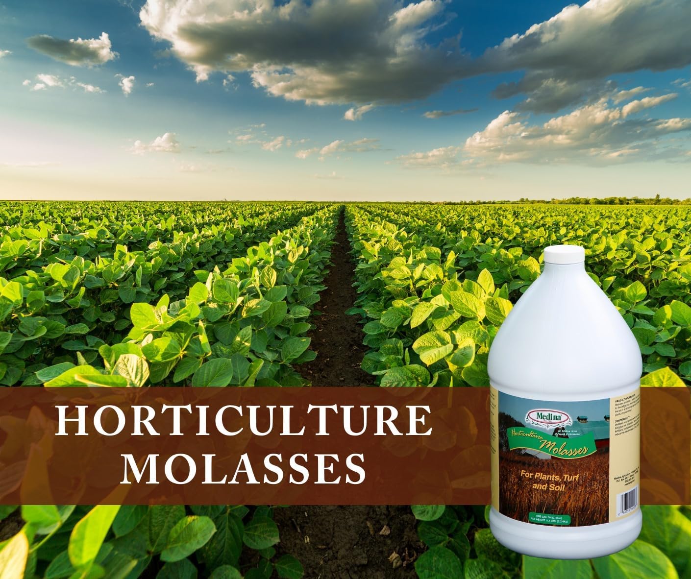 Medina Horticultural Molasses 1200 Sq. Ft. Liquid Qt