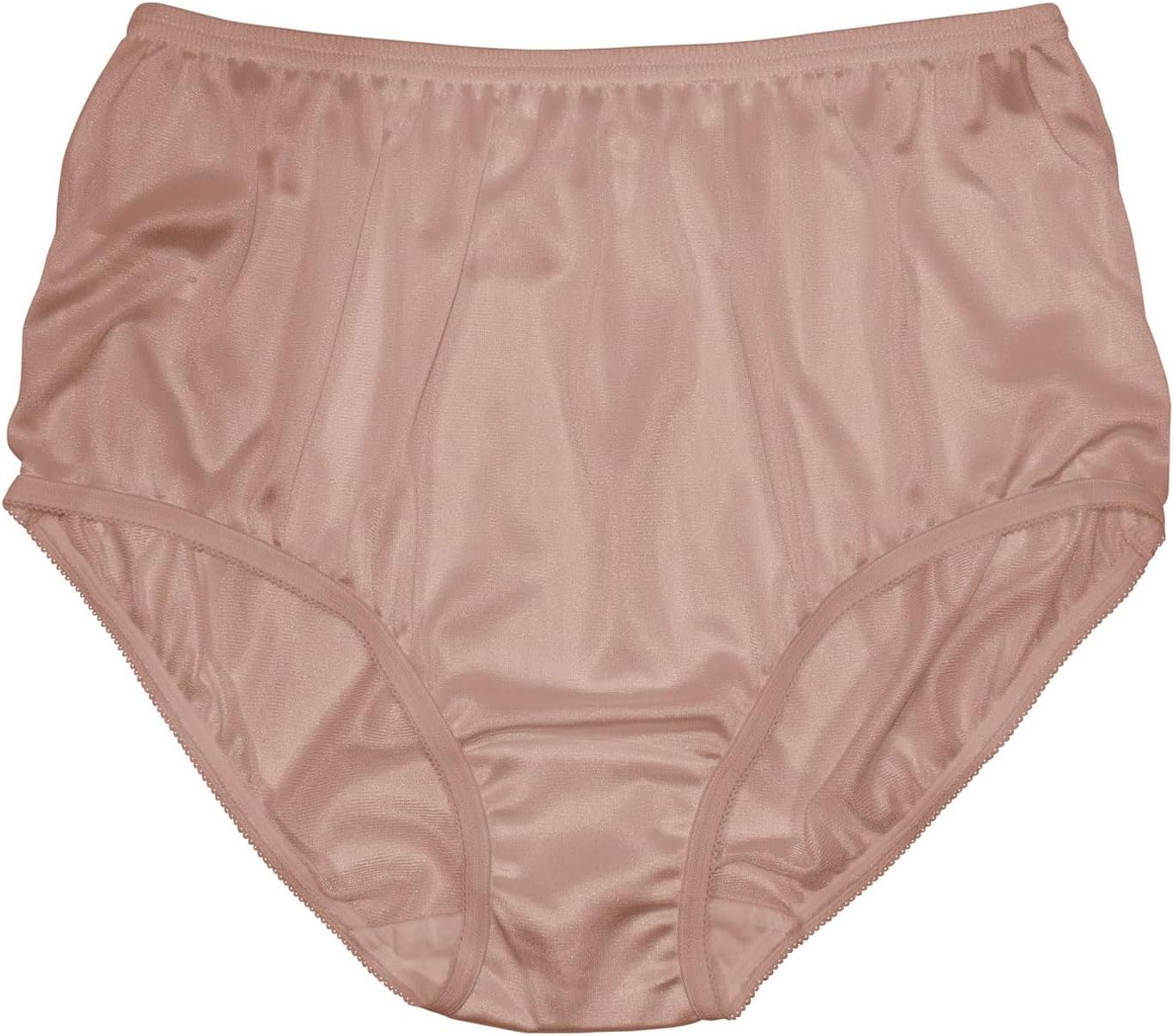Teri Women's 331 Plain Jane Classic Nylon Silky-Smooth Lightweight Breathable Full Coverage Brief Panty - 4 Pack