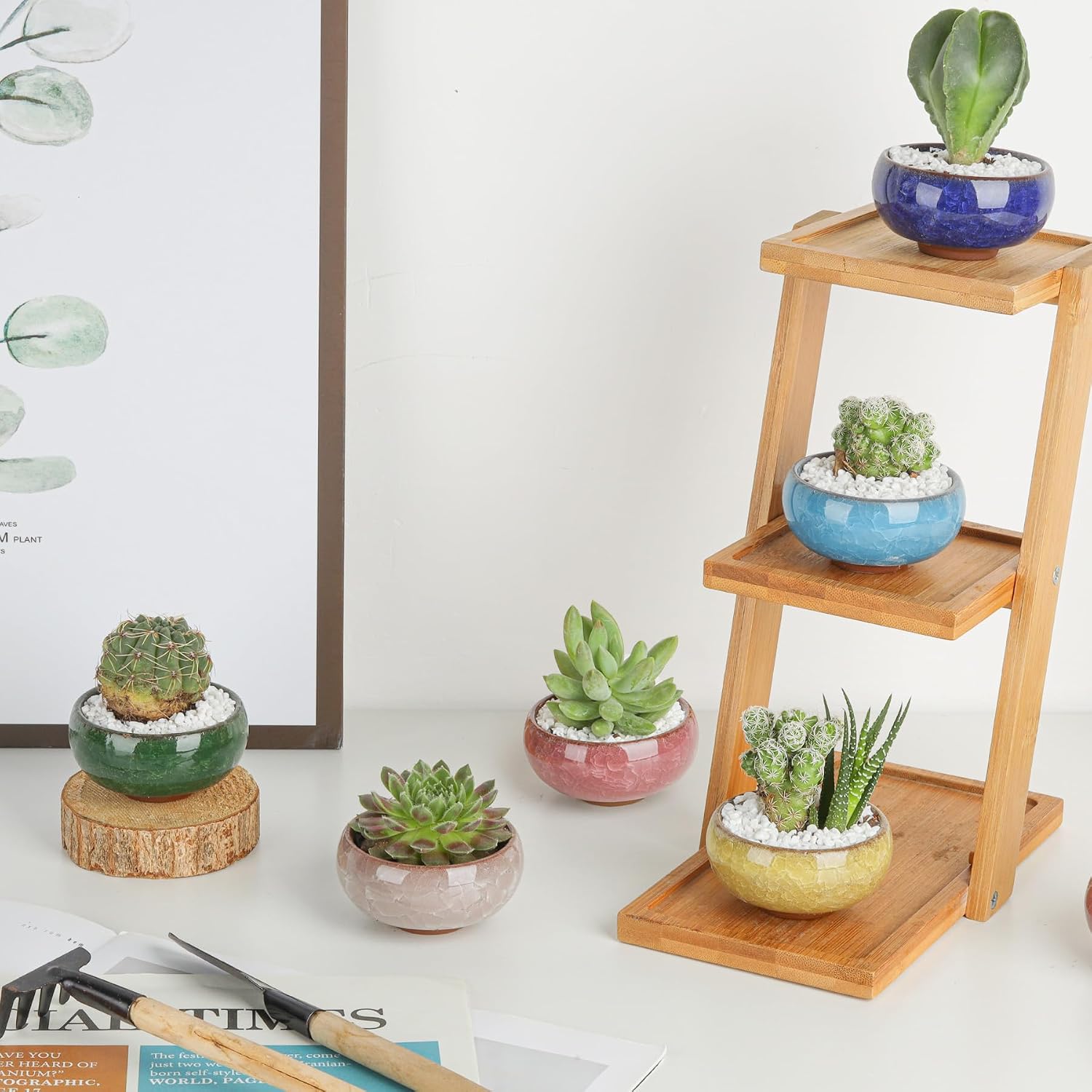 T4U 2.5 Inch Small Ceramic Succulent Planter Pot with Drainage Hole Set of 6, Ice Crack Glaze Plant Container for Cactus, Gardening Plant Gifts for Women Mom Aunt Home Office Decor | Cactus planters set, indoor herb garden, bonsai tree starter, tabletop…