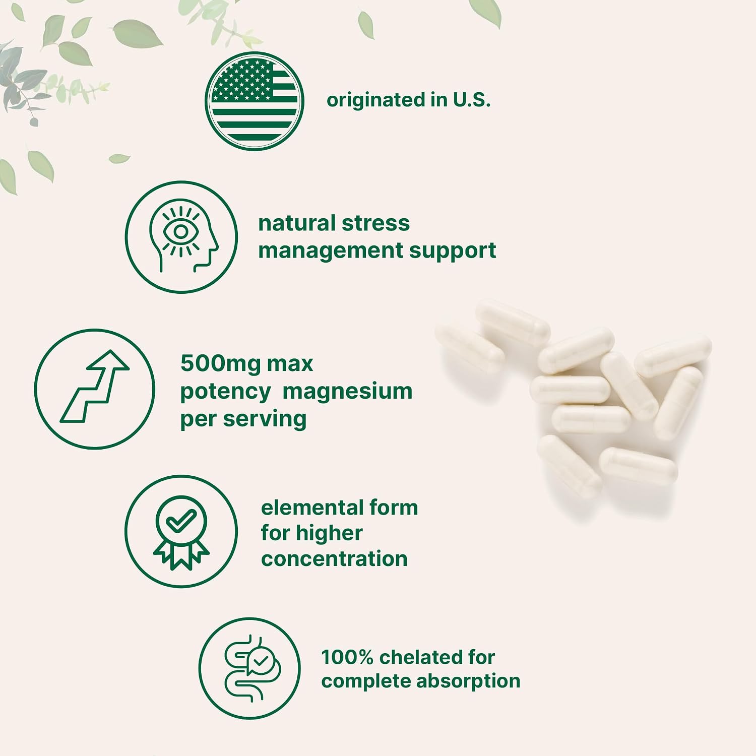 Micro Ingredients Magnesium Glycinate 500mg Per Serving, 240 Capsules | Potent Elemental Form, Chelated, High Absorption | Healthy Muscle, Bones