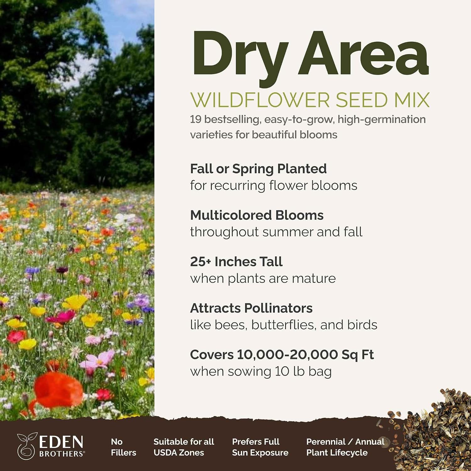 Eden Brothers All Perennial Wildflower Mixed Seeds for Planting, 1 lb, 480,000+ Seeds with Lupine, Shasta Daisy | Attracts Pollinators, Plant in Spring or Fall, Zones 3, 4, 5, 6, 7, 8, 9, 10