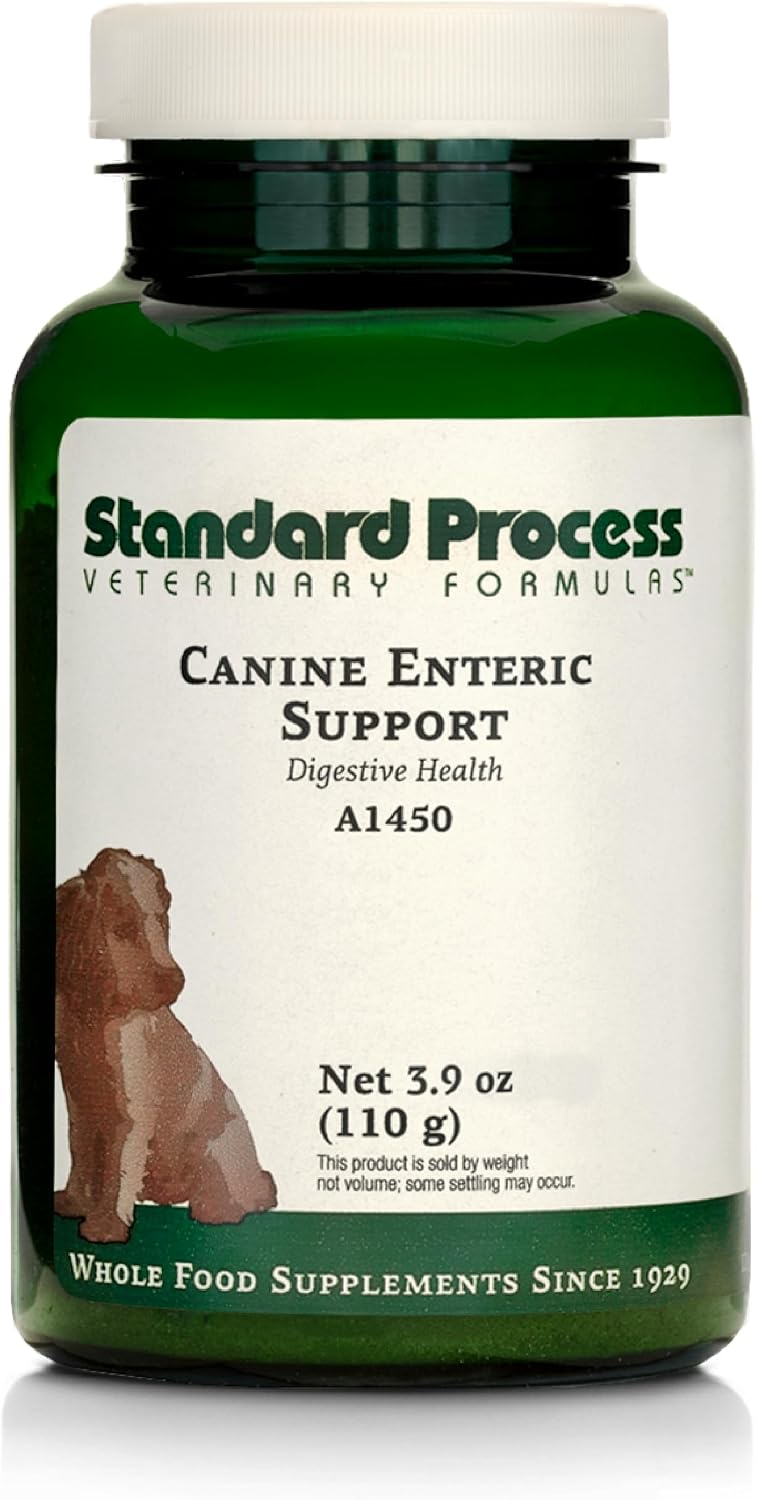 Standard Process Inc. Canine Enteric Support - Digestive System Support for Dogs - Nutritional Dog Supplement for Gut Health - Canine Supplement Formula to Aid Healthy Digestion - 30 g