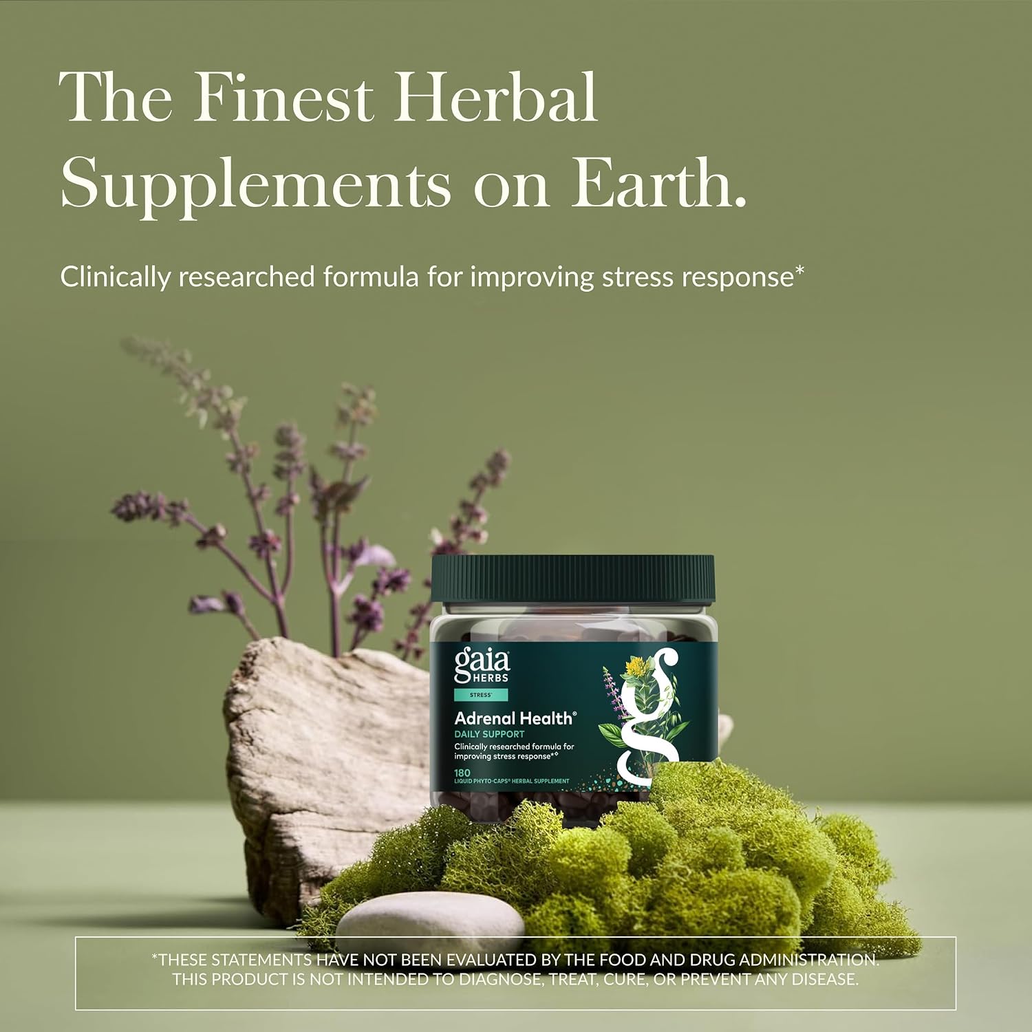 Gaia Herbs Adrenal Health Daily Support - Herbal Supplement with Ashwagandha, Holy Basil & Schisandra - Help Maintain Healthy Energy & Stress Levels* - 60 Vegan Liquid Phyto-Caps (30 Servings)