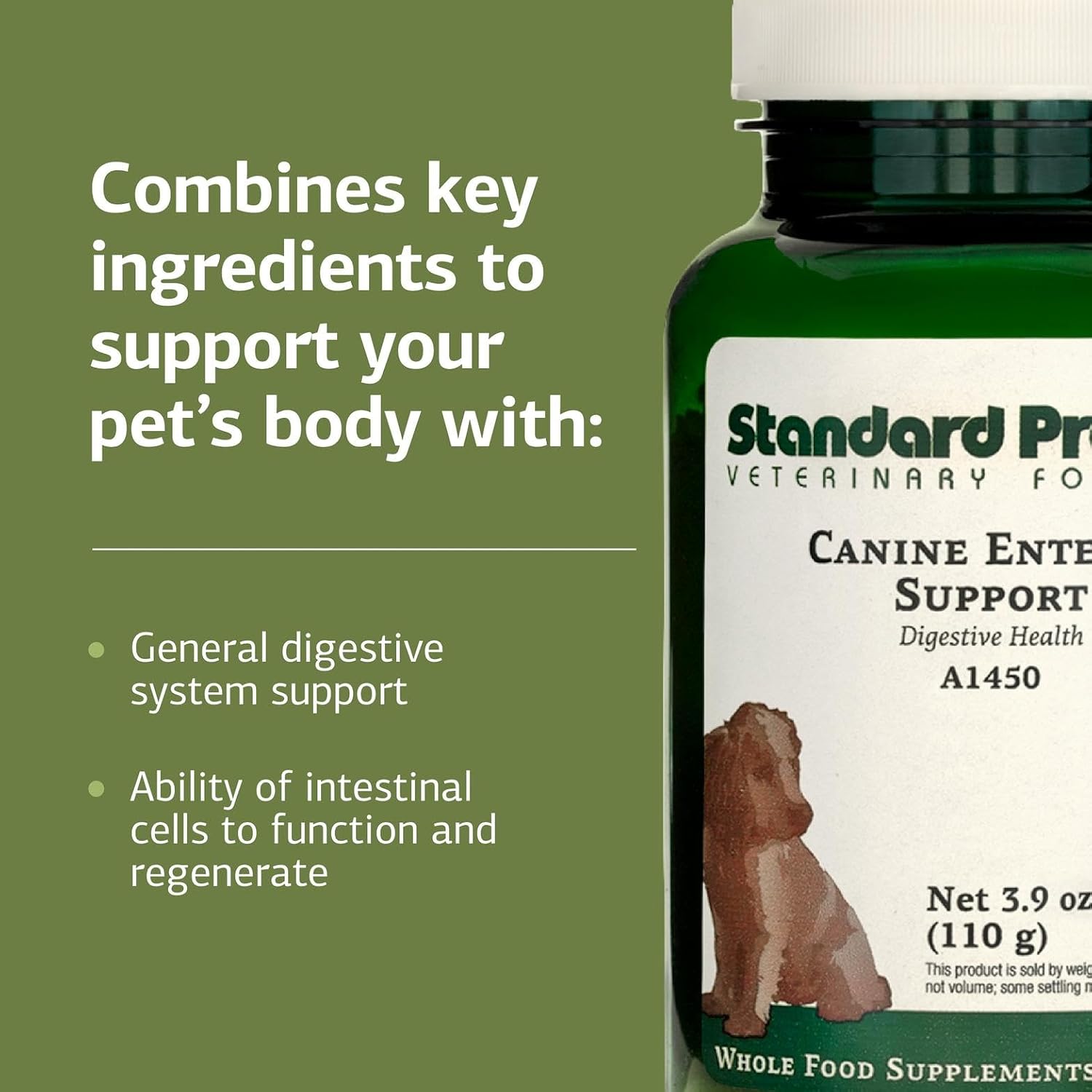 Standard Process Inc. Canine Enteric Support - Digestive System Support for Dogs - Nutritional Dog Supplement for Gut Health - Canine Supplement Formula to Aid Healthy Digestion - 30 g