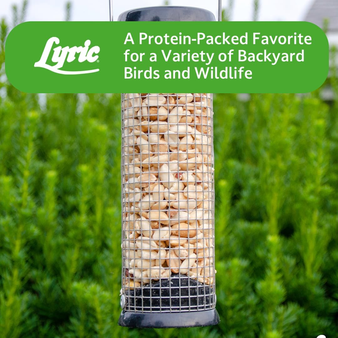Lyric Peanut Pieces Wild Bird Seed 15 lb Bag - Shelled Peanuts Wild Bird Food for Outside Feeders - Attracts Titmice, Woodpeckers, Chickadees & More | Lyric Peanut Pieces Wild Bird Seed - Shelled Peanuts, 15 lb. Bag