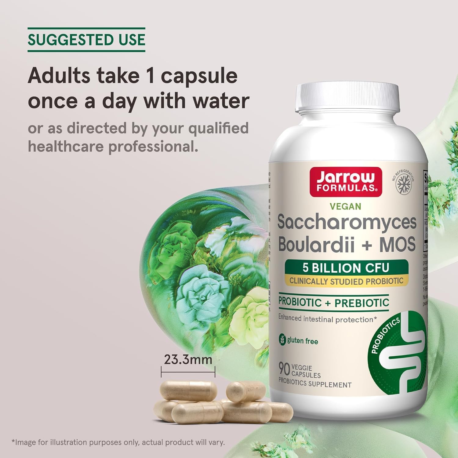 Jarrow Formulas Saccharomyces Boulardii + MOS Probiotics for Digestive Health and Intestinal Tract Support - 5 Billion CFU Per Serving - 90 Delayed Release Caps - Probiotic + Prebiotic - 90 Servings | Intestinal Tract Support, 5 Billion CFU Per Serving,…