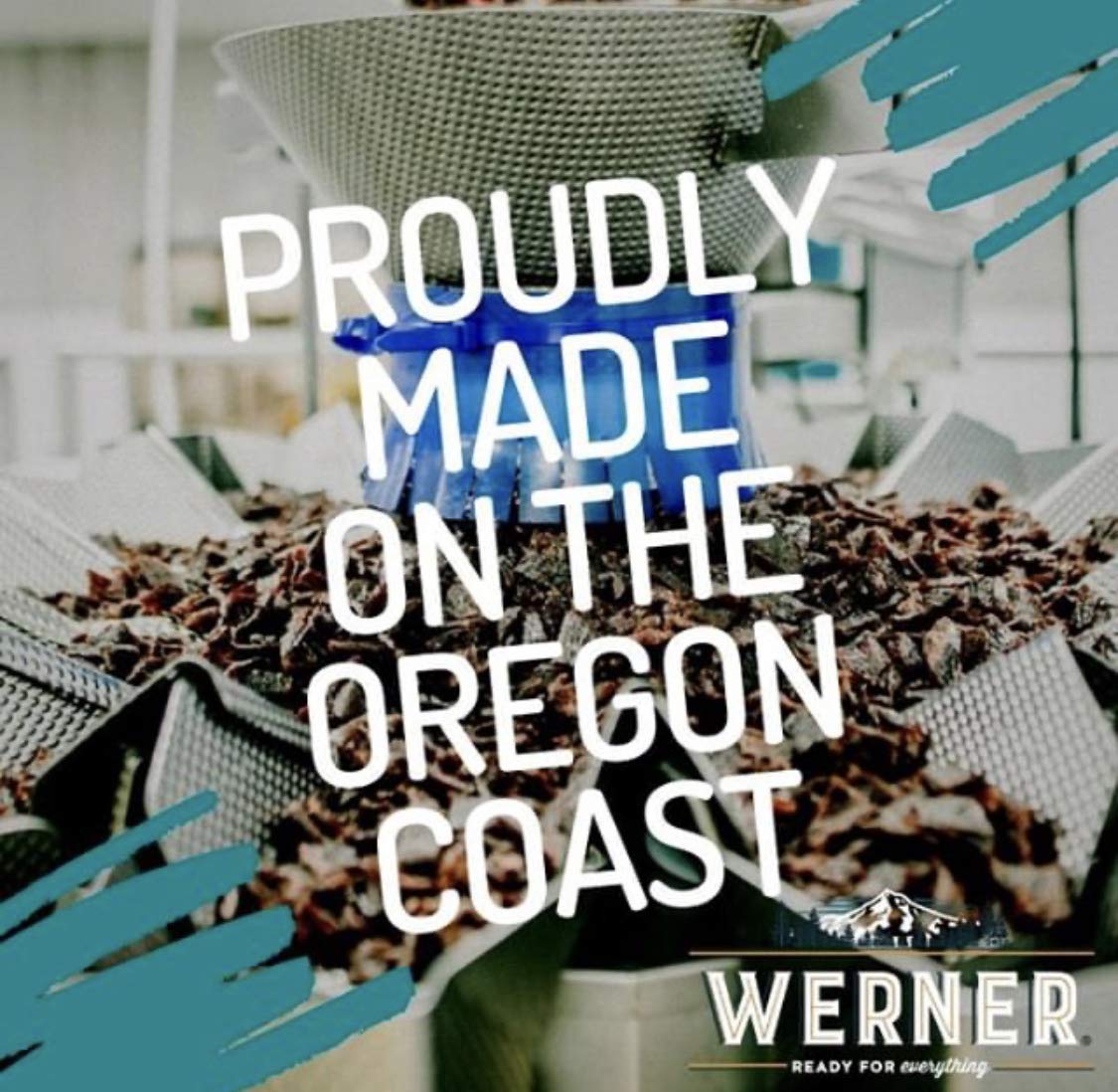 Werner Beef Jerky Chew Cans Pack of 6 – Shredded Beef Jerky – Made in the USA