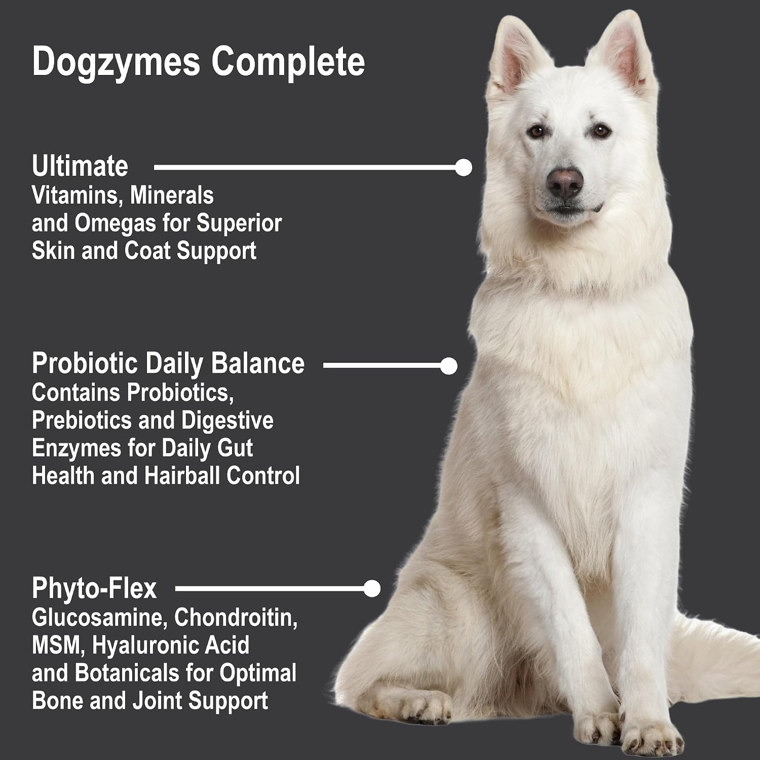 Dogzymes Complete - Probiotics, Prebiotics, Glucosamine, Chondroitin, MSM and Hyaluronic Acid, Complete Skin and Coat Care (2 Pound)