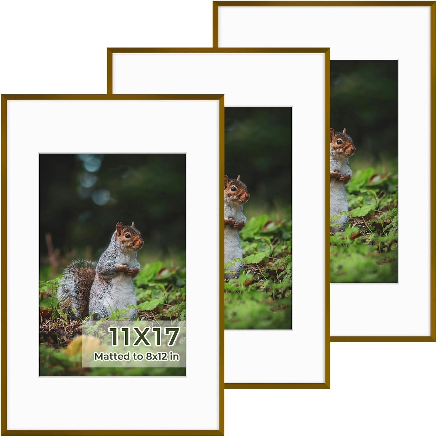 Golden State Art 3 Pack 12x12 Black Aluminum Frames, Real Glass Fronts