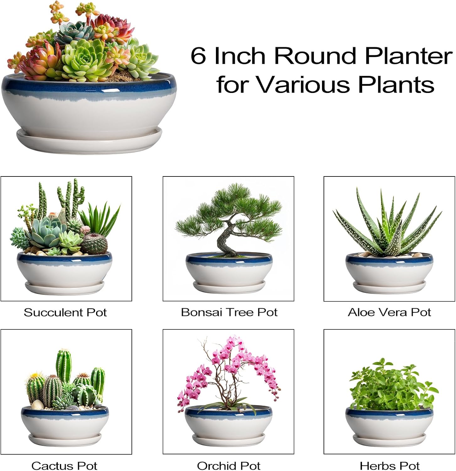 SQOWL 7 Inch Round Ceramic Succulent Planter Pot Drip Glazed Shallow Planter with Drainage Bamboo Tray for Indoor Plants