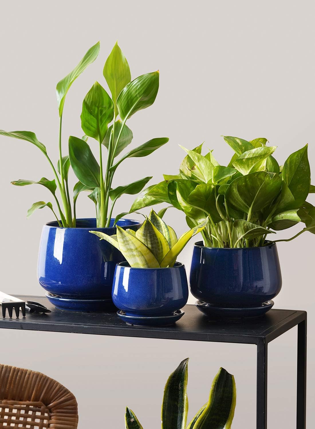 LE TAUCI Plant Pots, 4.1+5.1+6.5 inch, Set of 3, Ceramic Planters with Drainage Hole and Saucer, Indoor Flower Pot with Hole Mesh Pad, Gifts for Mom