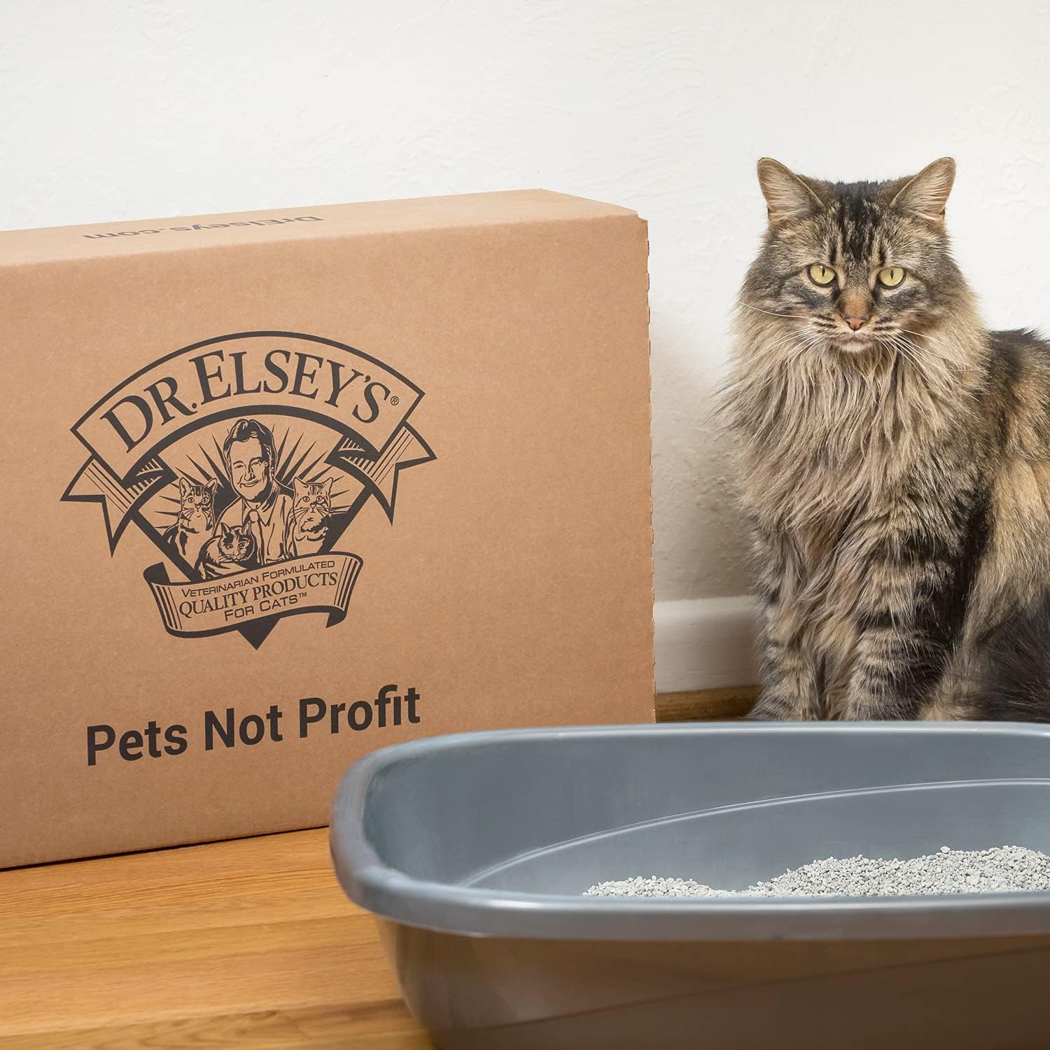Precious Cat Classic Premium Clumping Cat Litter, 40 lb Bag