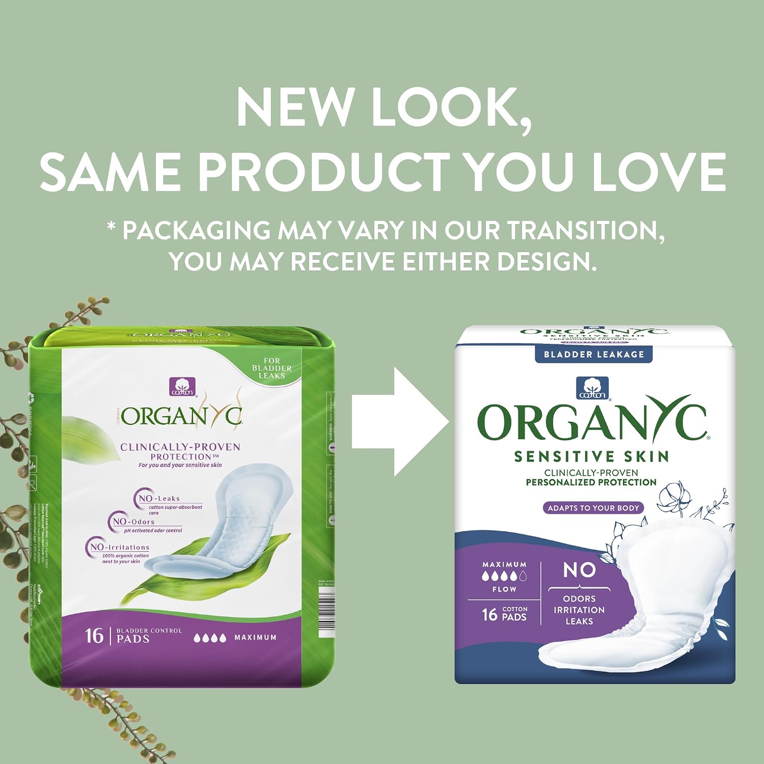Organyc – 100% Organic Cotton Light Incontinence Pads for Bladder Leaks (Maximum, 16 Count(1 Pack))
