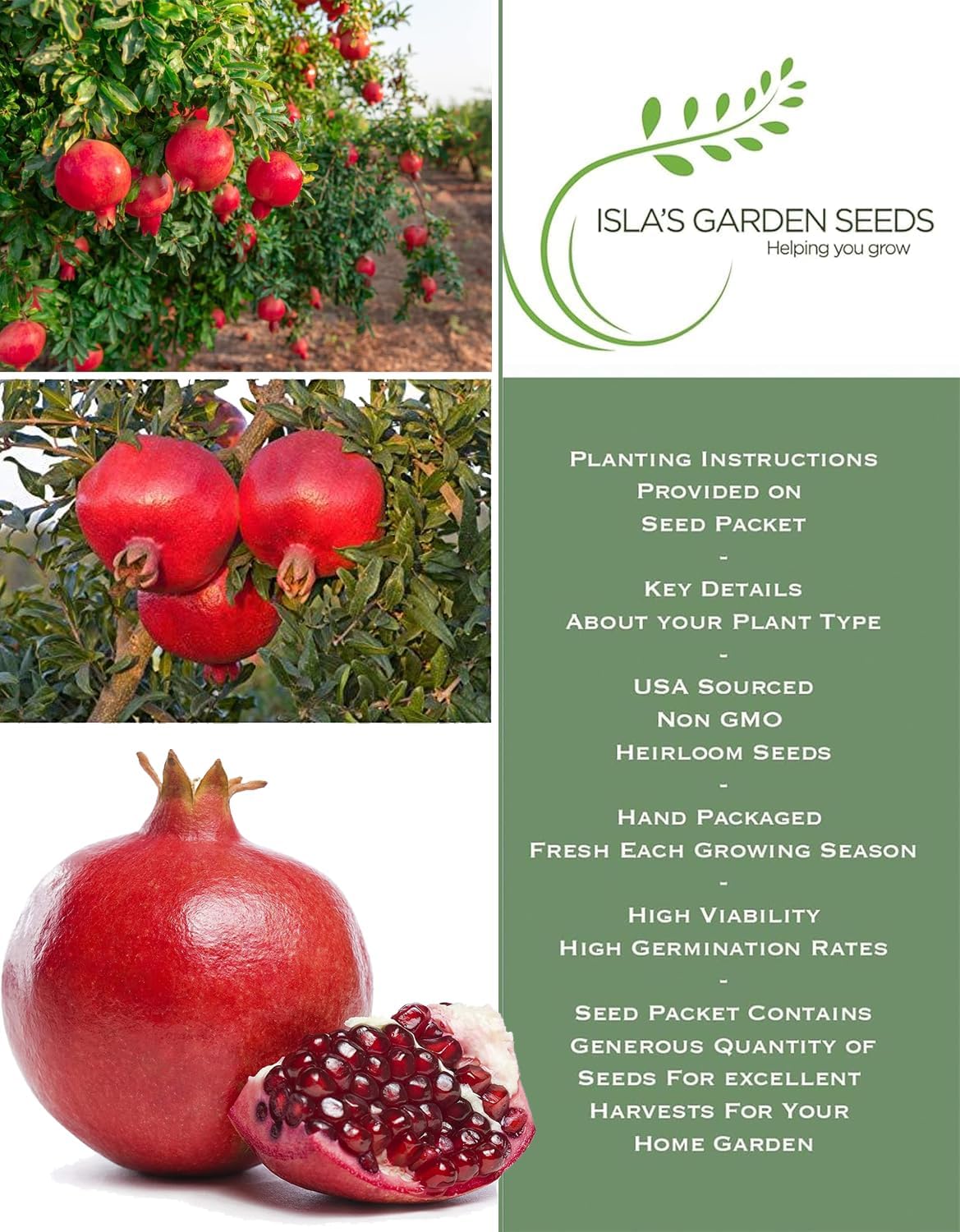 Pomegranate Tree Seeds (Punica granatum) – 30+ Non-GMO Fruit Tree Seeds for Planting, Beautiful Ornamental Tree with Sweet Edible Fruit