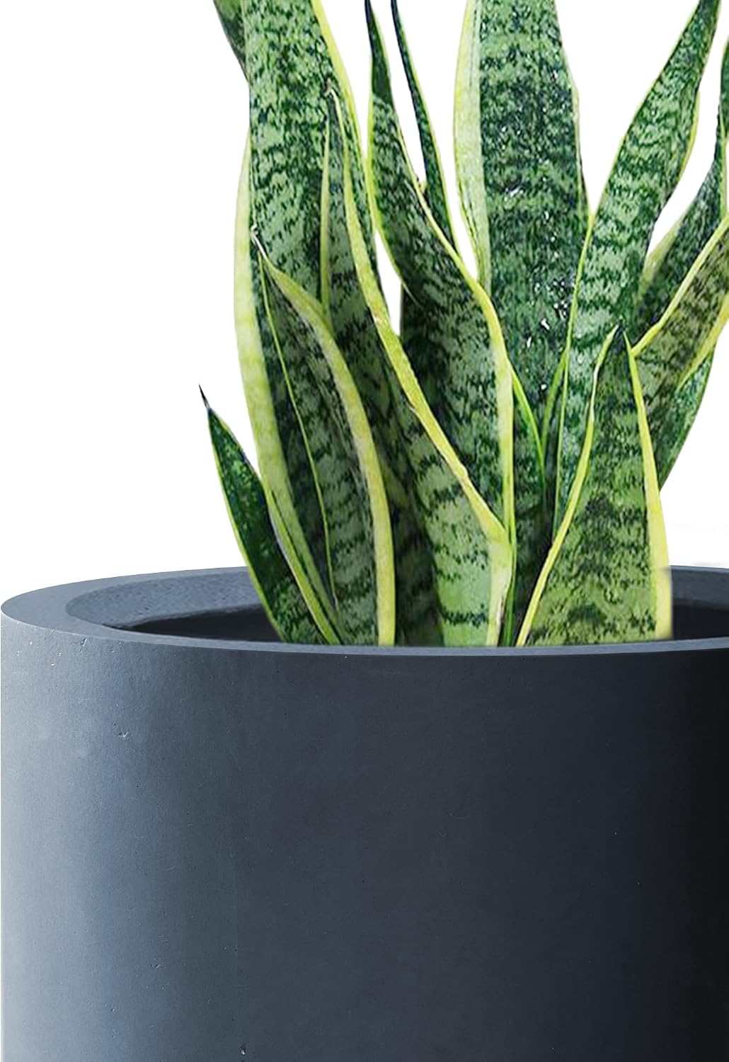 Kante Large Round Cylinder Charcoal Concrete Planter 15.8" Tall, Outdoor